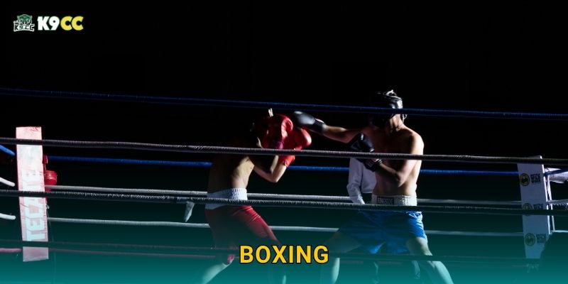 Boxing tốc độ cao – Kịch tính từng giây tại K9cc