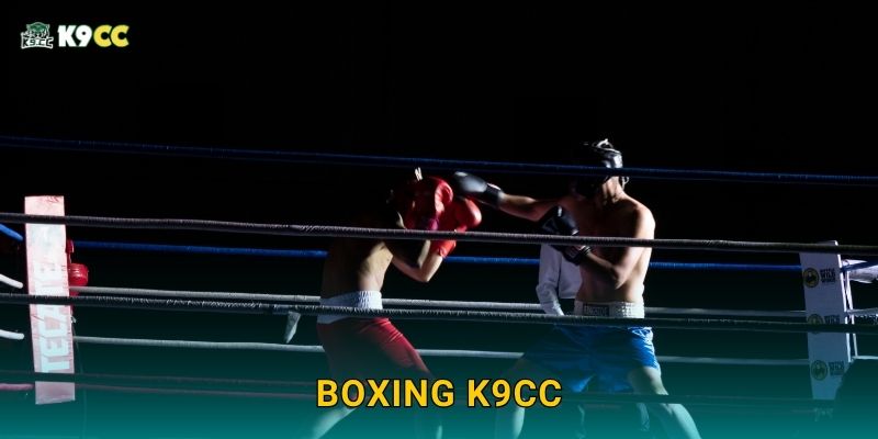 Boxing K9cc