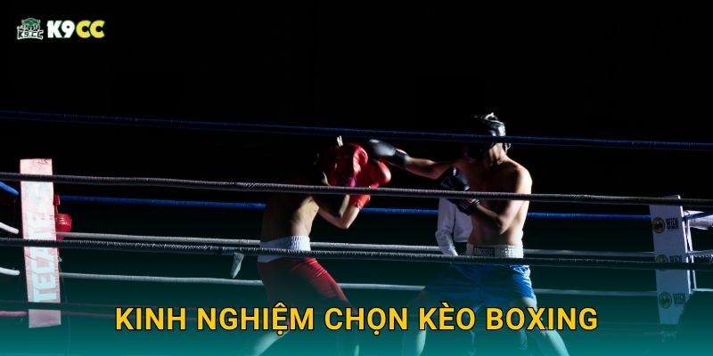 Kinh nghiệm chọn kèo boxing