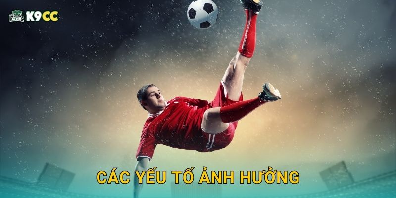 Các yếu tố ảnh hưởng