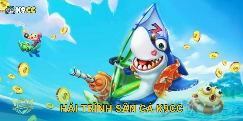 Hải Trình Săn Cá K9cc