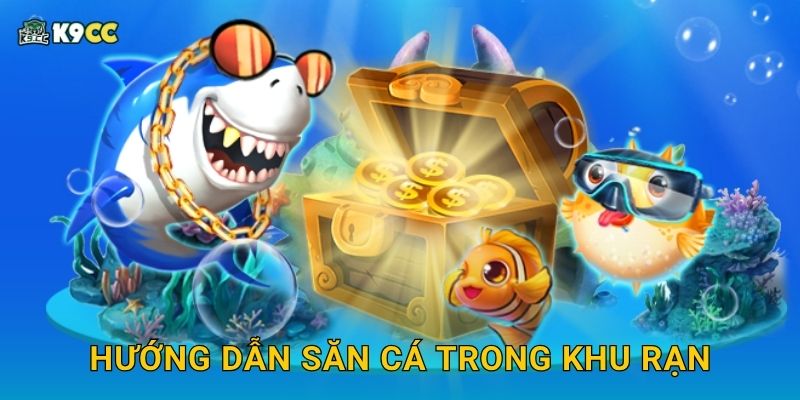 Hướng dẫn săn cá trong khu rạn