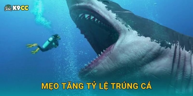 Bắn Cá Băng Giá – Lạnh giá nhưng đầy xu tại K9cc 3 Mẹo tăng tỷ lệ trúng cá